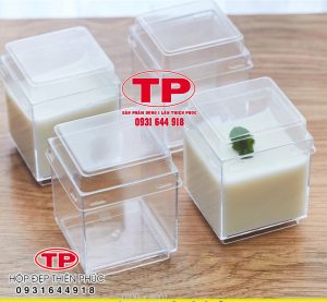 Ly mousse vuông LC-4248 - Ly mousse mini - ly panna cotta trang trí tiệc teabreak