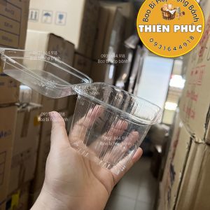 Hộp H167 đựng mousse - Hộp H167 đựng bánh su kem - Hộp H167 đựng bánh bông lan trứng muối - Hộp h167 đựng bánh ngọt - Hộp H167