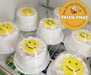 Hộp h24 mô - hộp h24 bầu - hộp h24 vòm - hộp h24 bầu đựng bánh kem 12cm - hộp h24 bầu đựng bánh bông lan trứng muối 12cm