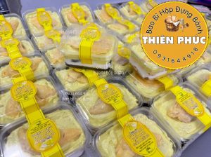 Hộp S231 đựng mousse chữ nhật - Hộp S231 đựng bánh bông lan phô mai sầu riêng - Hộp tiramisu S231  450ml