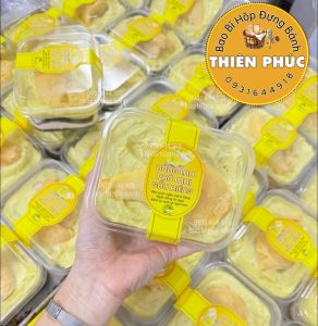 Hộp S231 đựng mousse chữ nhật - Hộp S231 đựng bánh bông lan phô mai sầu riêng - Hộp tiramisu S231  450ml