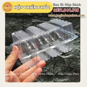 hộp Pet đựng 4 cái bánh pía - hộp 4 bánh lột da - hộp 4 bánh pía - hộp đựng bánh pía 4 cai - hộp pet đựng bánh pía